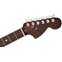 Fender Limited Edition American Professional Strat Natural Rosewood Neck Front View