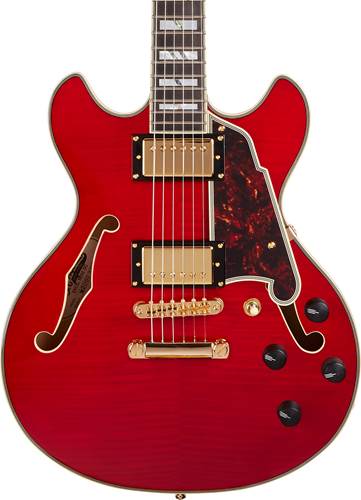 D'Angelico Excel Mini DC Stop-Bar Trans Cherry D'Angelico Excel Mini DC Stop-Bar Trans Cherry