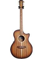 Cole Clark Angel 2 EC Sunburst Blackwood/Blackwood #20018371