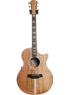Cole Clark Angel 3 EC Blackwood/Blackwood #20028379