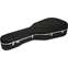 Hiscox Large Classical Hard Case Front View