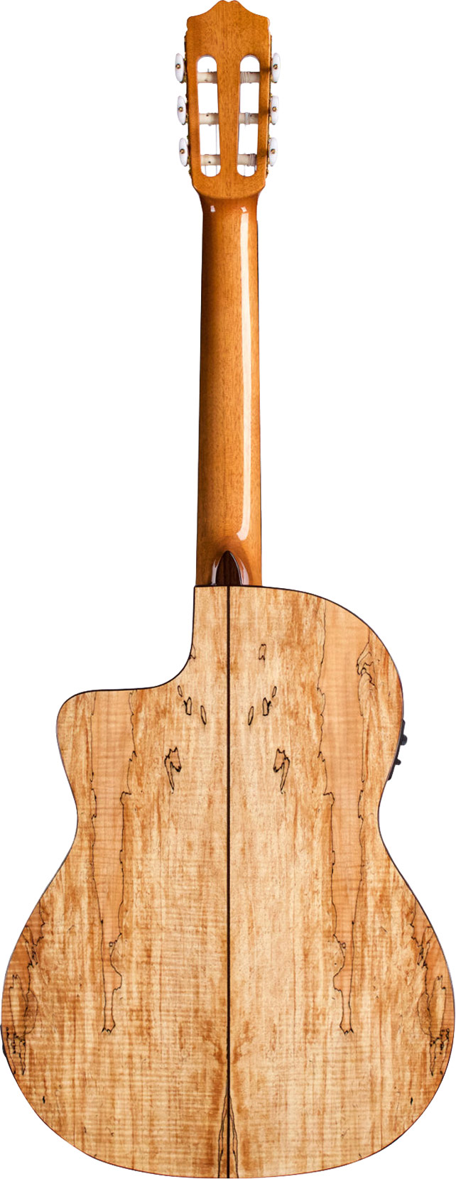 Cordoba C5-CET Spalted Maple Limited