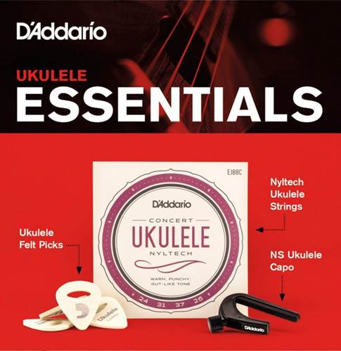 D'Addario PW-UKEB-VM Ukulele Essentials Bundle