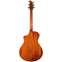 Breedlove Performer Concert CE Bourbon Spruce/Mahogany Back View