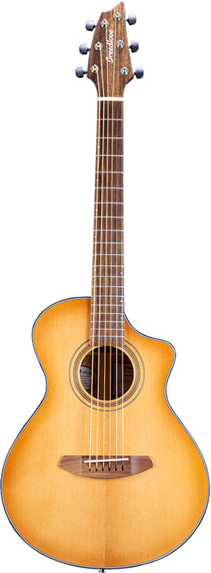 breedlove signature companion copper ce