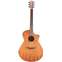 Breedlove Wildwood Concerto Satin CE All Mahogany Front View