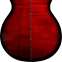 PRS SE Limited Edition A50E Angelus Fire Red Flame Maple Back and Sides 