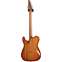 Suhr guitarguitar select #152 Modern T Light Brown Burst 3A Roasted MN Back View