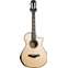 Taylor 912ce 12 Fret V Class Bracing (Ex-Demo) #1106109128 Front View