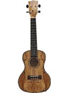Freshman Concert Electro Acoustic Ukulele Spalted Maple