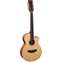 Faith Naked Venus 12 String Front View