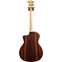 Taylor 214ce Deluxe Rosewood Grand Auditorium Back View
