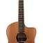 Lowden SE-35X Red Cedar (Driftwood)/Indian Rosewood with LR Baggs Anthem - One of a Kind 