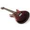 PRS SE Limited Edition Custom 24 Charcoal Cherry Fade Back View