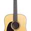 Martin Custom Shop Dreadnought with Adirondack Spruce and Sinker Mahogany Back and Sides Left Handed #2363432 