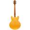 Heritage H-530 Standard Semi-Hollow Antique Natural Back View