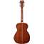 D'Angelico Premier Tammany Vintage Natural Back View
