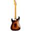 Fender American Professional II Stratocaster 3 Tone Sunburst Rosewood Fingerboard Back View