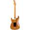 Fender American Professional II Stratocaster Roasted Pine Rosewood Fingerboard Back View