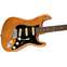 Fender American Professional II Stratocaster Roasted Pine Rosewood Fingerboard Front View