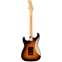 Fender American Professional II Stratocaster 3 Tone Sunburst Maple Fingerboard Back View