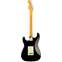 Fender American Professional II Stratocaster Black Maple Fingerboard Back View