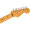 Fender American Professional II Stratocaster Black Maple Fingerboard Front View