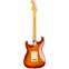 Fender American Professional II Stratocaster Sienna Sunburst Maple Fingerboard Back View
