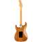 Fender American Professional II Stratocaster Roasted Pine Maple Fingerboard Back View