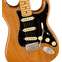 Fender American Professional II Stratocaster Roasted Pine Maple Fingerboard Front View