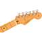 Fender American Professional II Stratocaster Roasted Pine Maple Fingerboard Front View