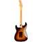 Fender American Professional II Stratocaster HSS 3 Tone Sunburst Rosewood Fingerboard Back View