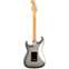 Fender American Professional II Stratocaster HSS Mercury Rosewood Fingerboard Back View