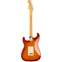 Fender American Professional II Stratocaster HSS Sienna Sunburst Maple Fingerboard Back View