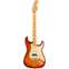 Fender American Professional II Stratocaster HSS Sienna Sunburst Maple Fingerboard Front View