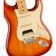 Fender American Professional II Stratocaster HSS Sienna Sunburst Maple Fingerboard Front View