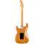 Fender American Professional II Stratocaster HSS Roasted Pine Maple Fingerboard Back View