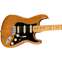 Fender American Professional II Stratocaster HSS Roasted Pine Maple Fingerboard Front View