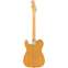 Fender American Professional II Telecaster Butterscotch Blonde Maple Fingerboard Back View