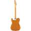 Fender American Professional II Telecaster Roasted Pine Maple Fingerboard Back View