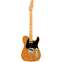 Fender American Professional II Telecaster Roasted Pine Maple Fingerboard Front View