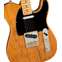 Fender American Professional II Telecaster Roasted Pine Maple Fingerboard Front View
