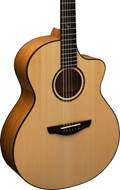 Faith Limited Edition Signature Neptune Cutaway London Plane Tree