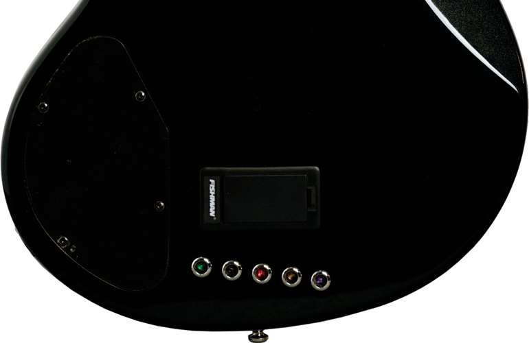 Lakland Skyline 55-02 Custom Black Sparkle Ebony Lakland Skyline 55-02 Custom Black Sparkle Ebony