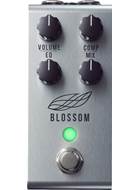 Jackson Audio Blossom