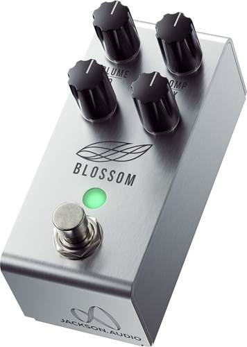 Jackson Audio Blossom Jackson Audio Blossom