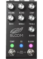 Jackson Audio Bloom V2 MIDI