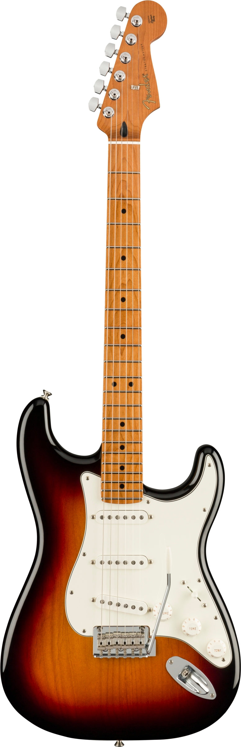 fender player roasted maple neck