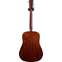 Martin Custom Shop Dreadnought with Adirondack Spruce and Sinker Mahogany back and sides #2377237 Back View