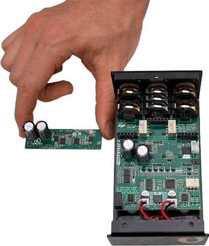 Jackson Audio Large Mouse Module Jackson Audio Large Mouse Module